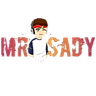 Mr Sady
