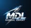MANDAL ESPORSTS logo